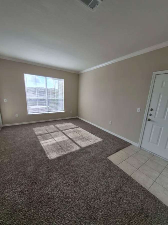 Payton's room