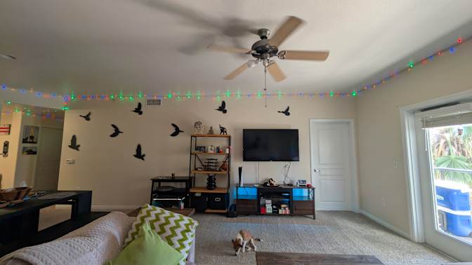 Willie's room