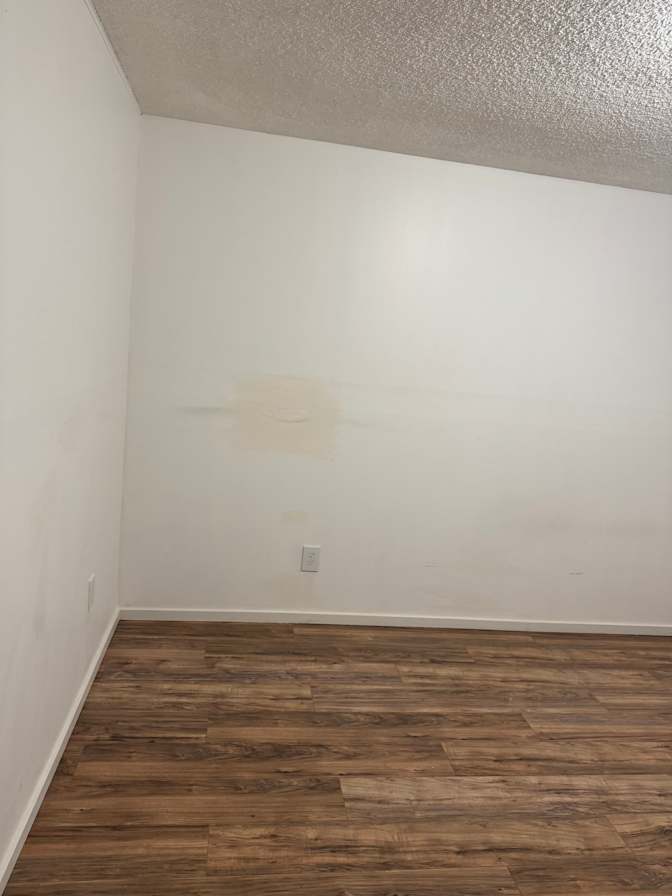 reamp's room