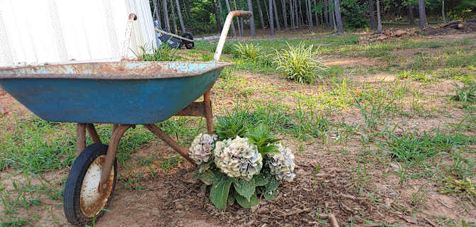 Adam's room