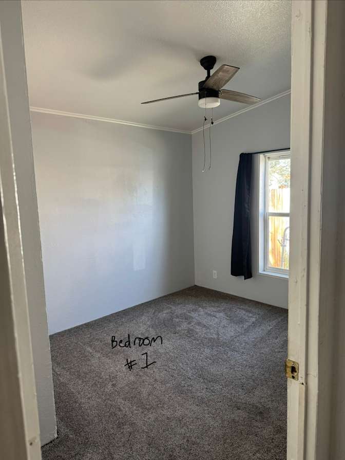 Hayden's room