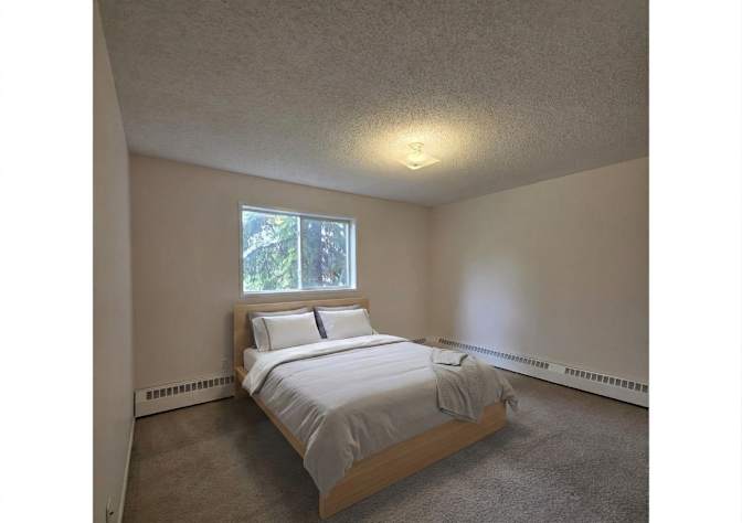 Todd's room