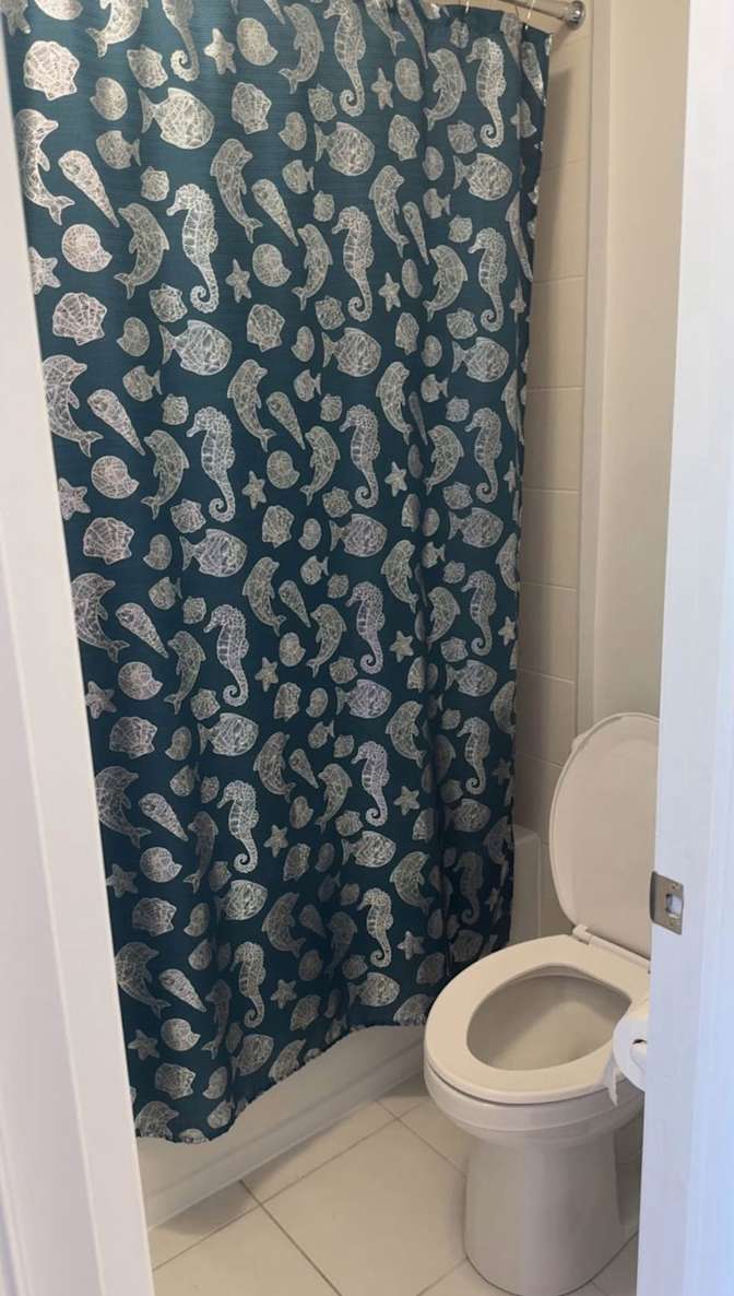 Theresa's room