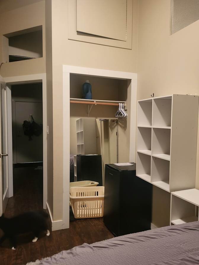 Shirley-anne Elmourne's room