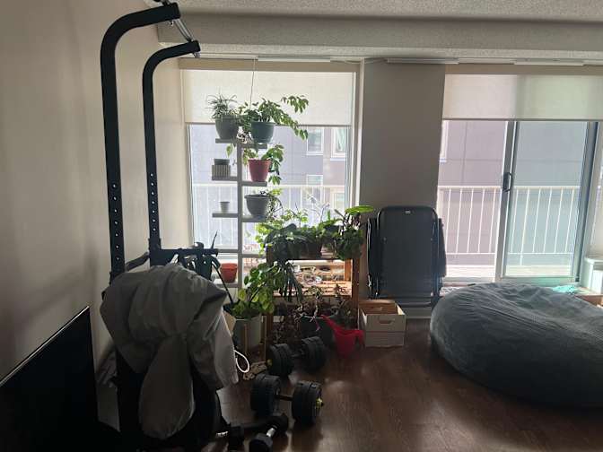 Jorge's room