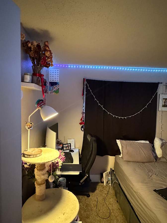 Nora's room