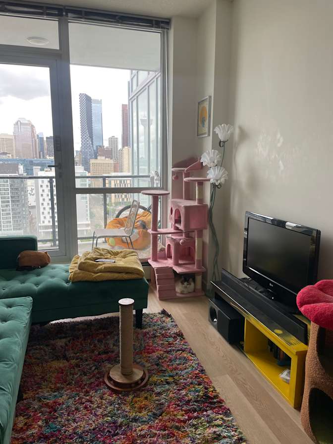 Alison Elewa's room