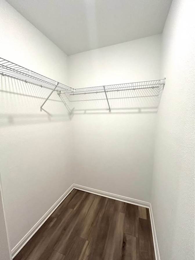 Jacob's room