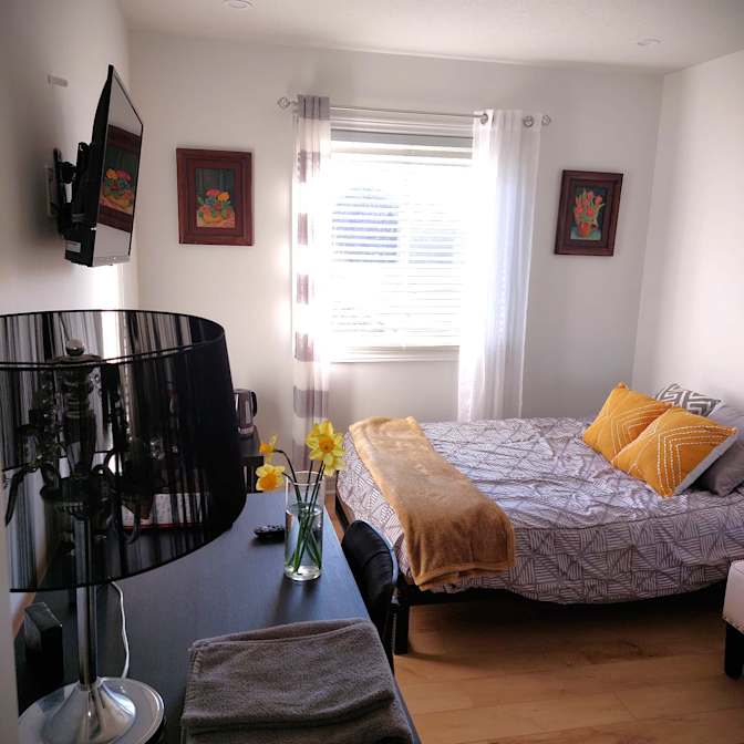 Nikoo Zohadi's room