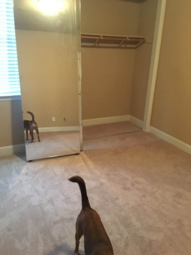 Michael's room
