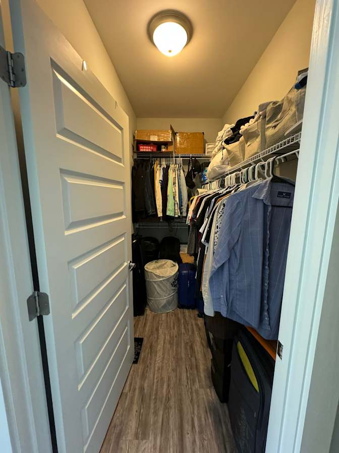 Neha's room
