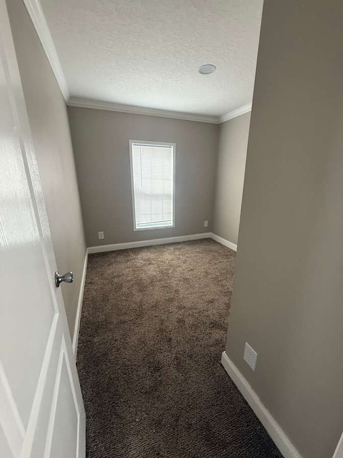 Paige's room