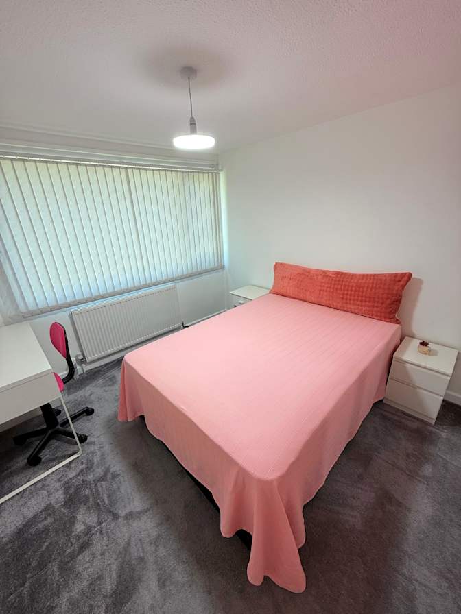 Berrin Kayaalp's room