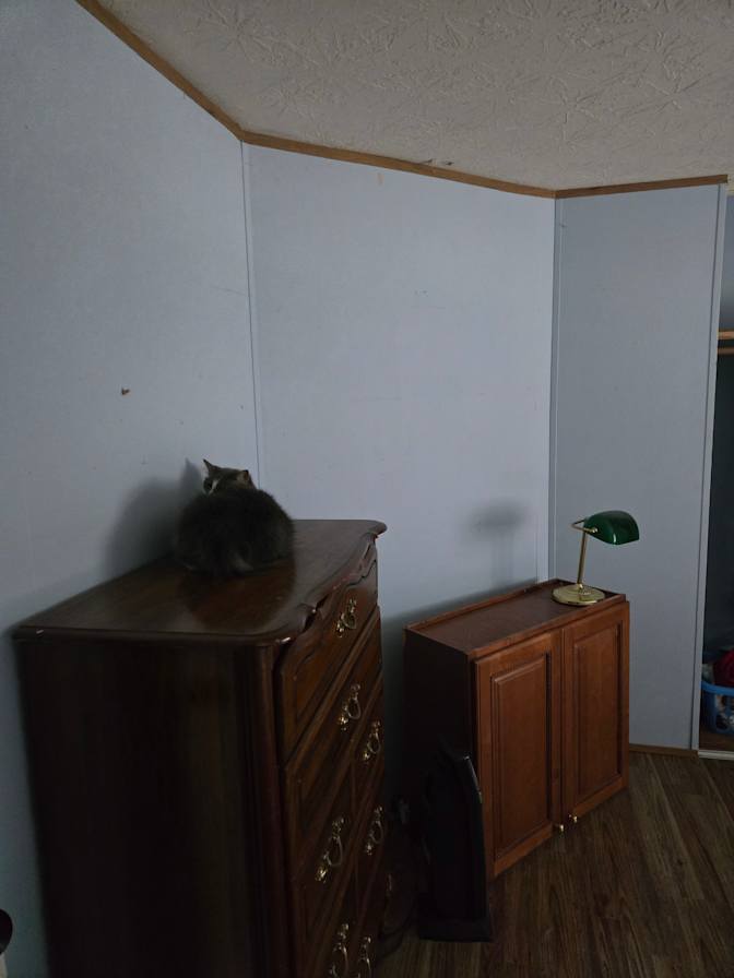 Michael's room