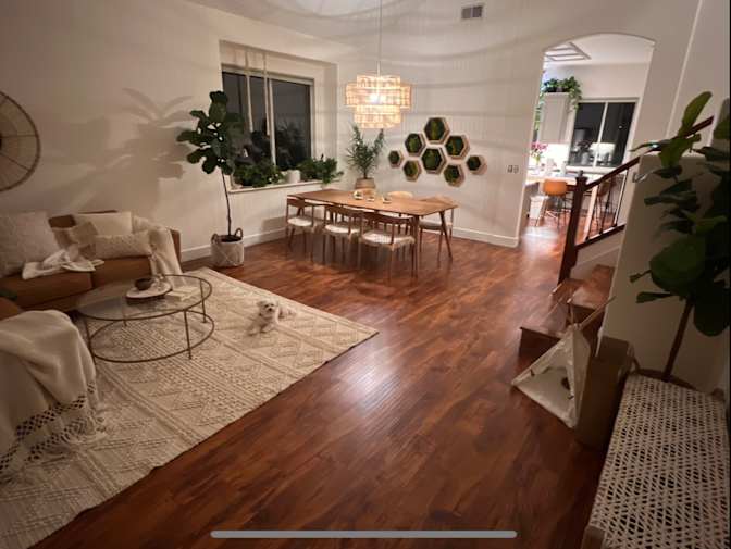 Alexander's room