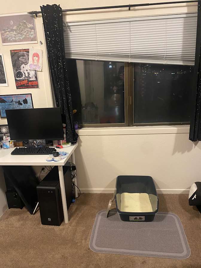Maddi's room