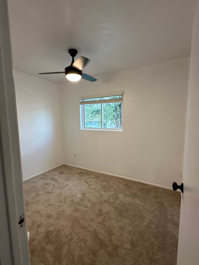 Zack's room