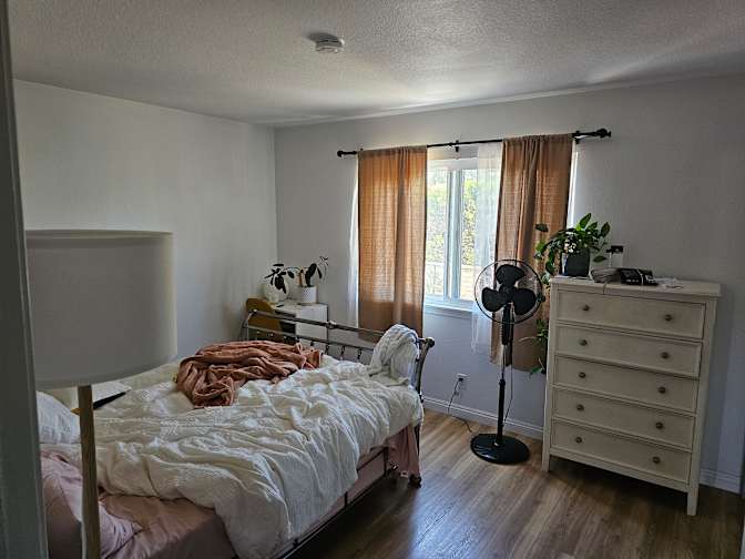 Alexandra  & Roomies's room