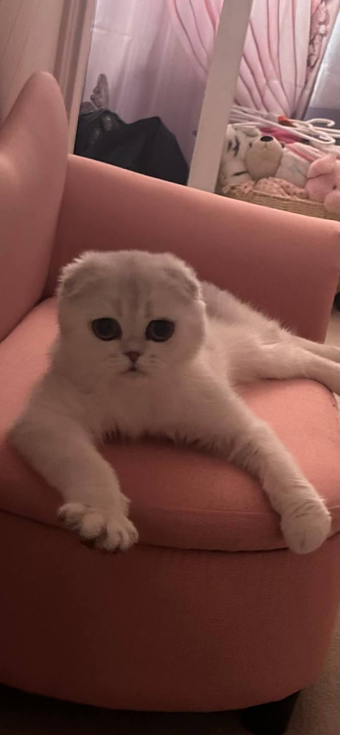 Chantal Audet's room