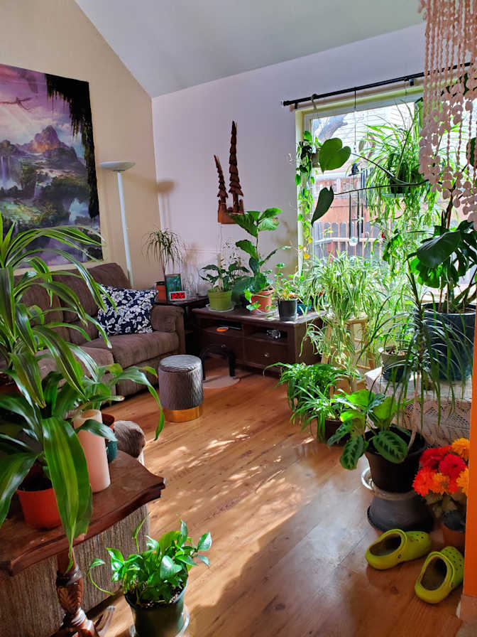 Cindi's room