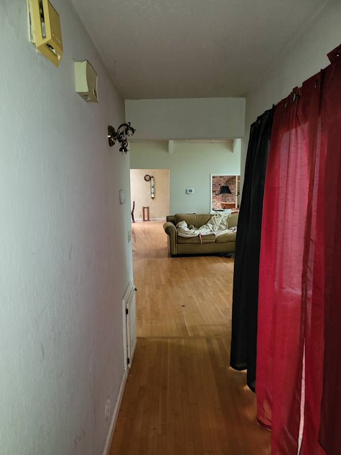 ZANA ALI's room