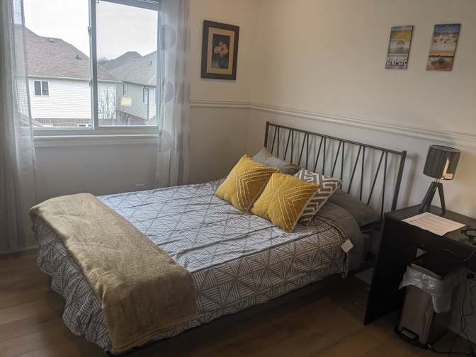 Nikoo Zohadi's room