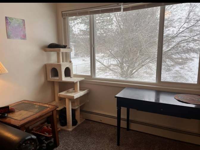 Michelle's room
