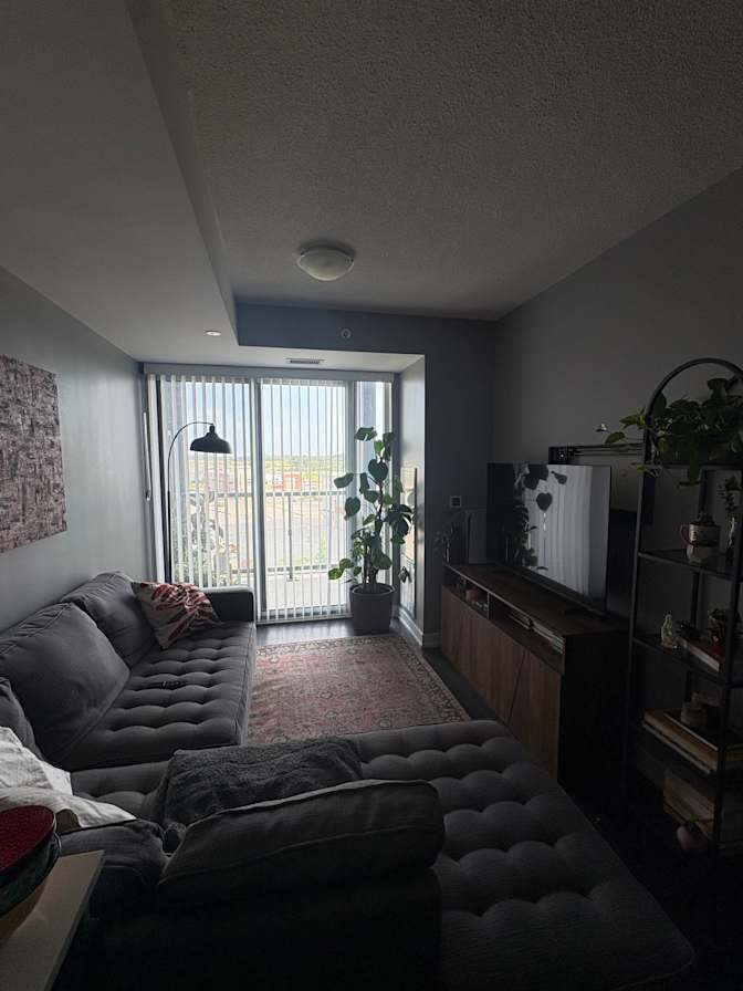 Amy's room