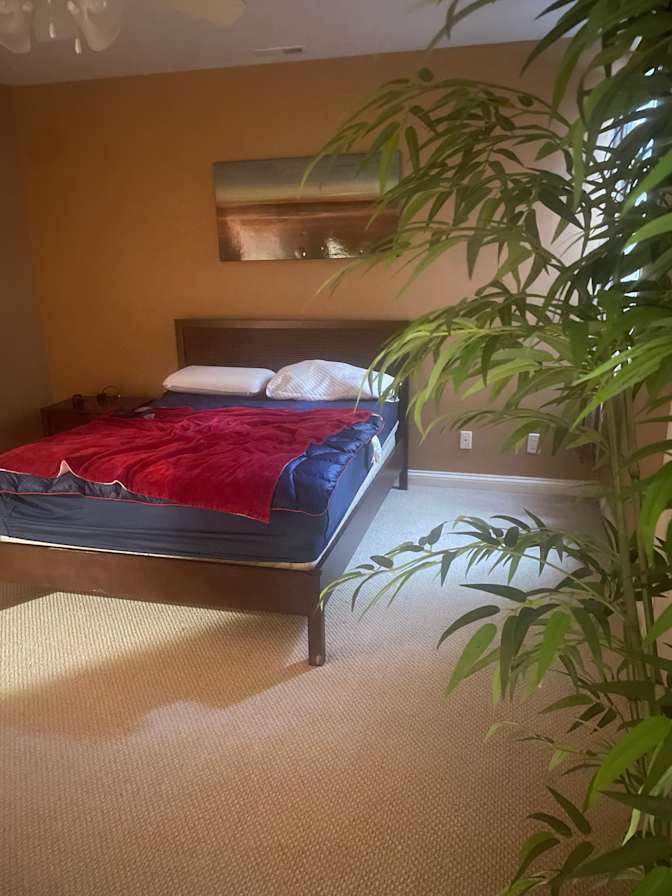 Natalie Davis's room