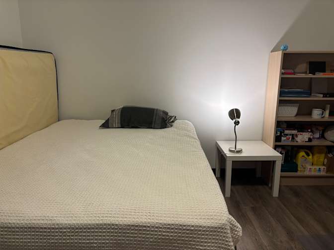 Tabby's room