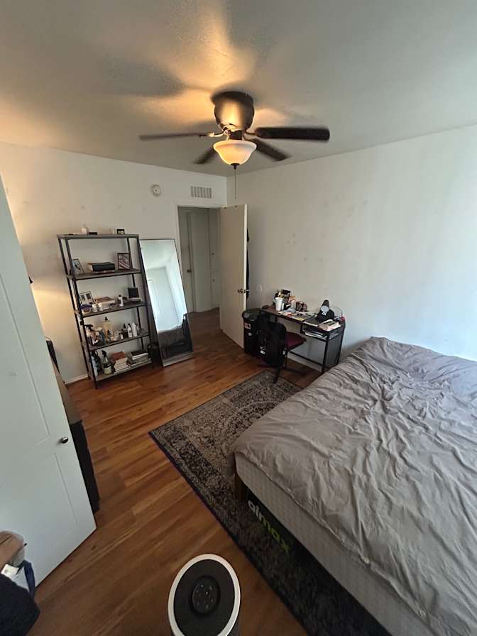Luca Persistent's room