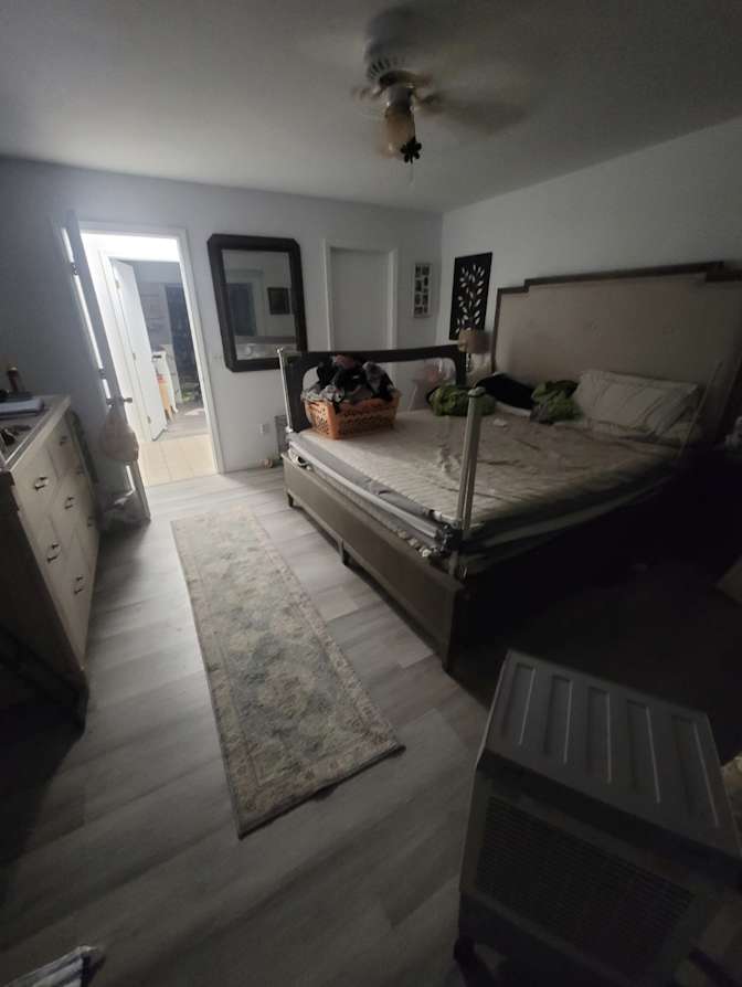Sofia's room