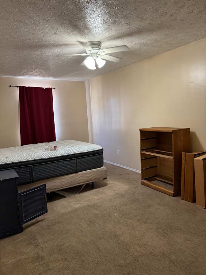 Sloth rentals's room