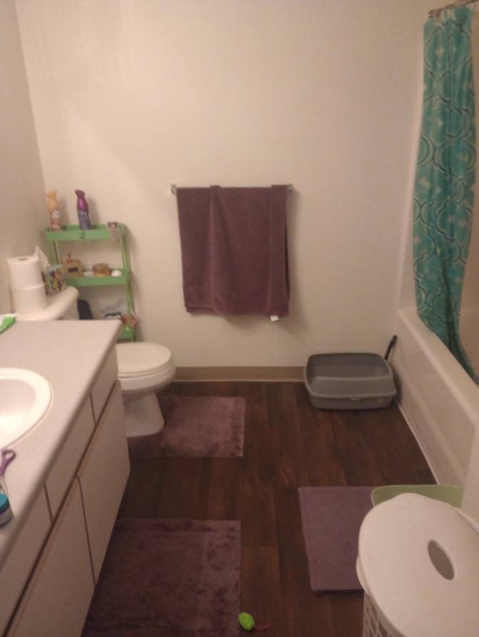 Matt's room