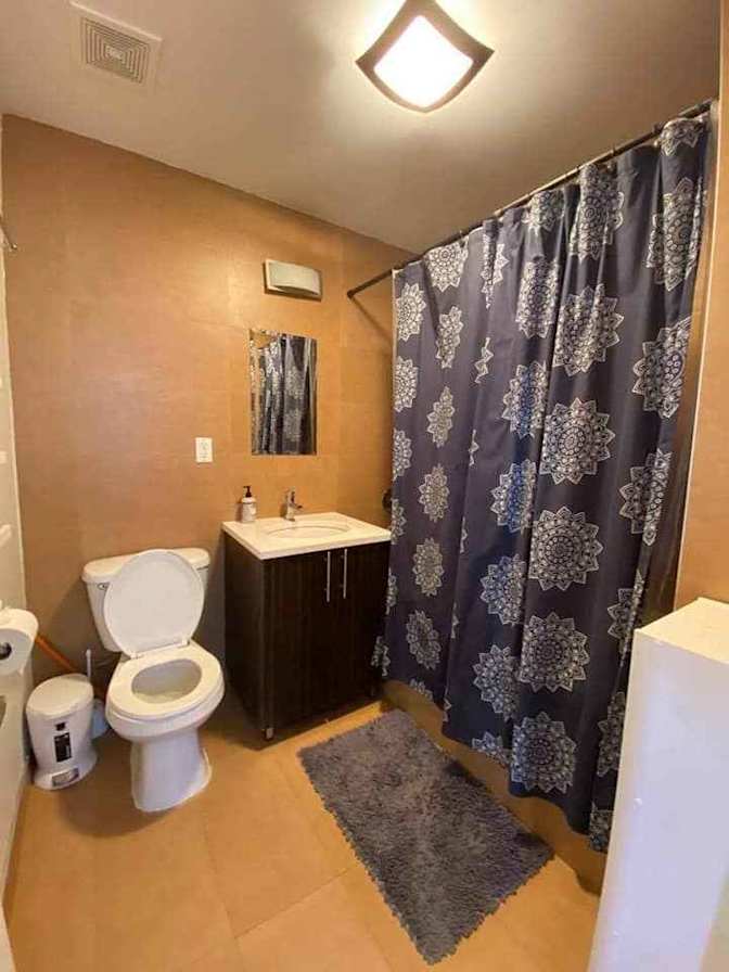 Shaoul's room