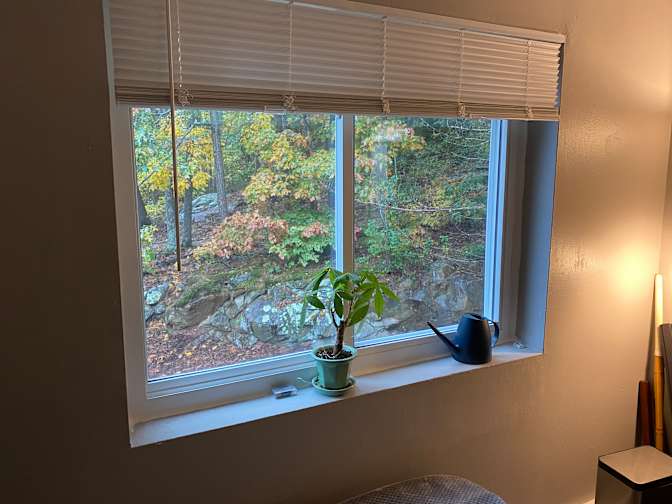 Robert's room