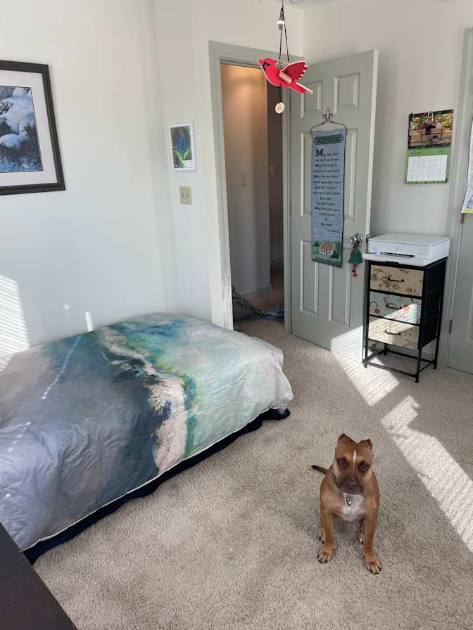 Rose's room