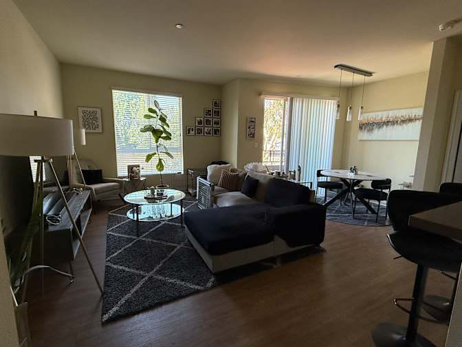 Erika's room