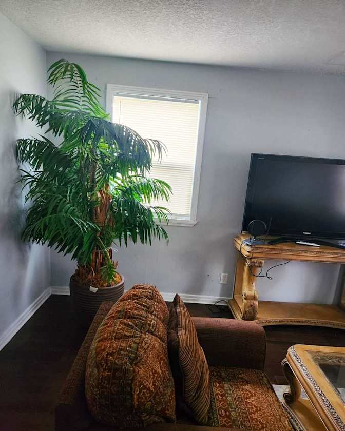 Always Welcome's room