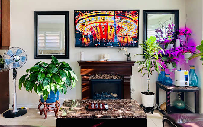 Stephen's room