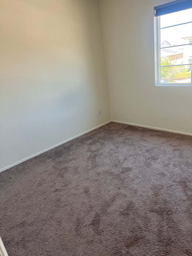 Albert's room