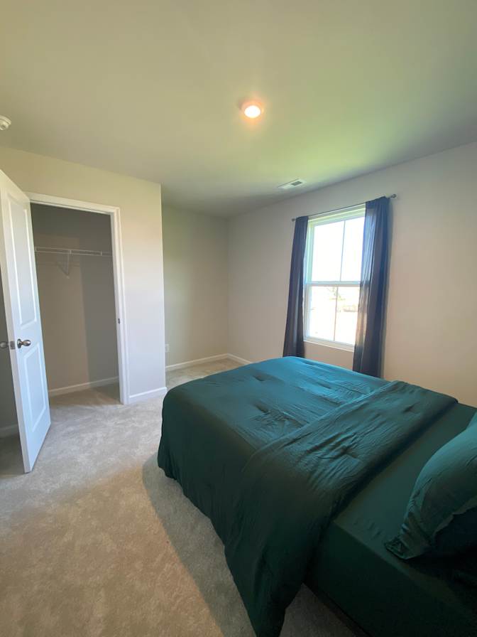 Taz's room
