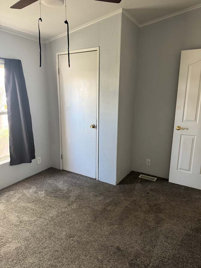 Hayden's room