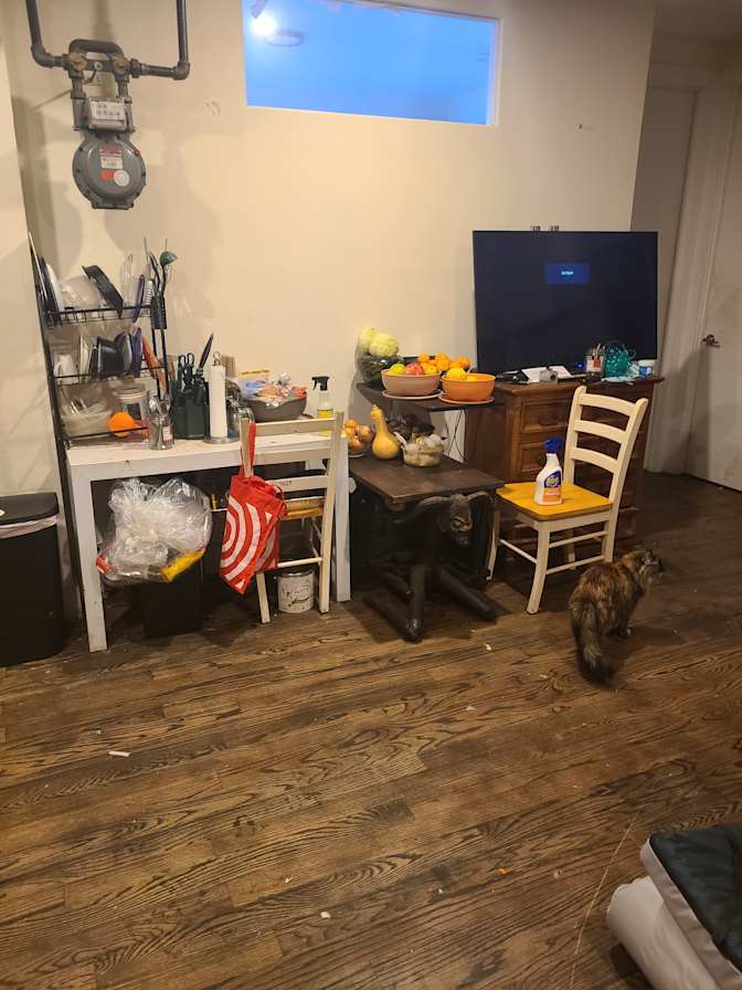 Lise Fisher's room