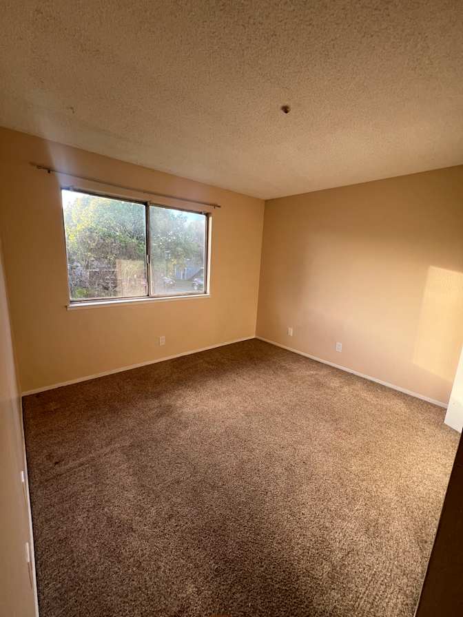 Cody's room