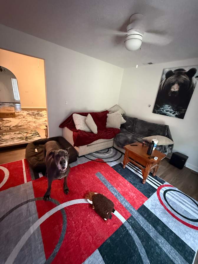 Kevin's room