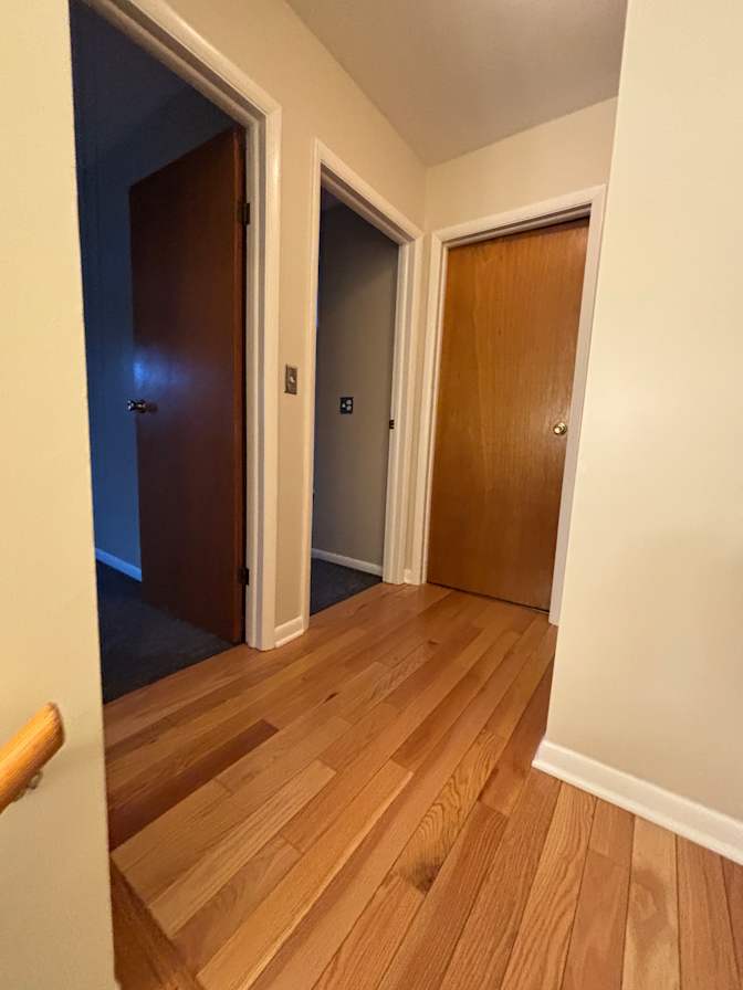 Judi's room