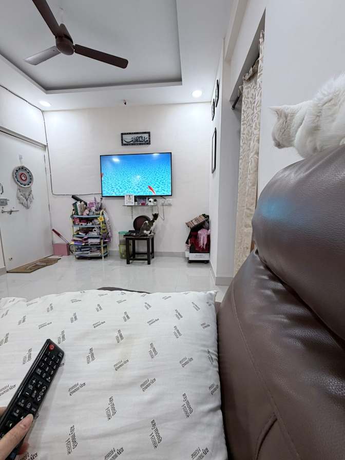 Kubra's room