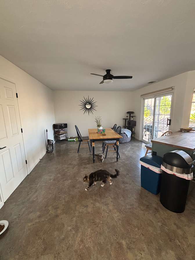 Silva's room
