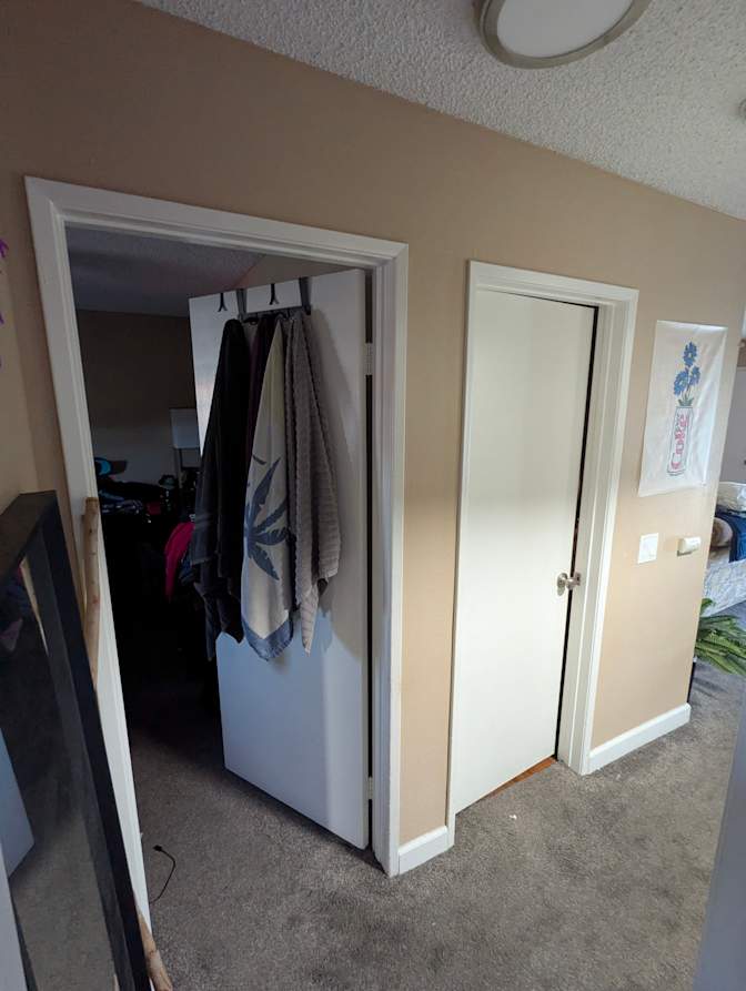 Alexzandria's room